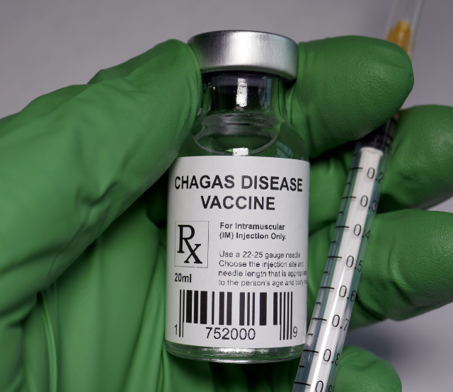 Chagas Disease in Texas